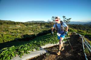 BIB: 317
                            <button type="button" onclick="openModal(19110004)" class="btn btn-primary btn-sm float-right btn-popup" data-toggle="modal" data-target=".modal-high-quality">
                        <i class="fas fa-shopping-cart"></i> Add to Cart
                    </button>
                                            <button type="button" onclick="isThisMe(19110004, true)" class="btn btn-success btn-sm float-right btn-popup btn-isme hidden" data-toggle="tooltip" data-placement="bottom" title="นี่คือรูปของคุณใช่ไหม คลิกที่นี่เพื่อเอาเข้าอัลบั้ม">
                        <i class="fas fa-plus"></i> Add to album
                    </button>
                    <button type="button" onclick="isThisMe(19110004, false)" class="btn btn-warning btn-sm float-right btn-popup btn-isnotme hidden">
                        <i class="fas fa-ban"></i> Remove from album
                    </button>